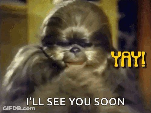 A Picture Of A Shih Tzu Dog With The Words " I 'Ll See You Soon " Above It GIF