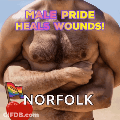 A Picture Of A Shirtless Man With The Words " Male Pride Heals Wounds Norfolk " GIF