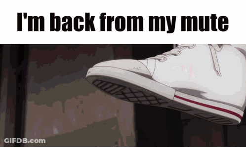 A Picture Of A Shoe With The Words I 'M Back From My Mute GIF