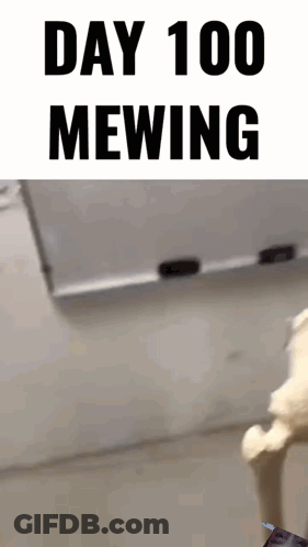 A Picture Of A Skeleton With The Words Day 100 Mewing Above It GIF