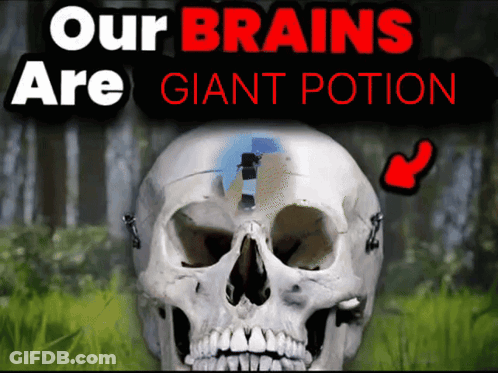 A Picture Of A Skull With The Words Our Brains Are Giant Potion GIF