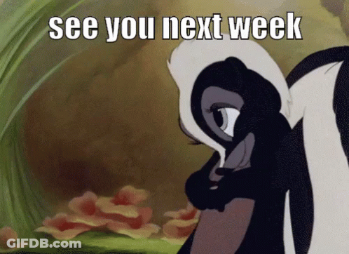 A Picture Of A Skunk With The Words See You Next Week Below It GIF