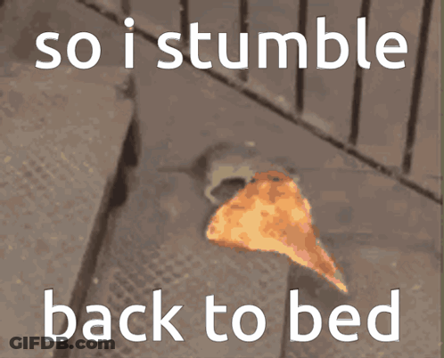 A Picture Of A Slice Of Pizza With The Words So I Stumble Back To Bed GIF