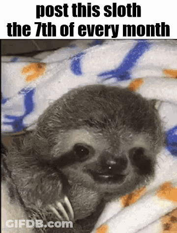 A Picture Of A Sloth Laying On A Blanket With The Caption Post This Sloth The 7Th Of Every Month . GIF