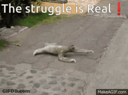 A Picture Of A Sloth Laying On The Ground With The Words The Struggle Is Real Below It GIF