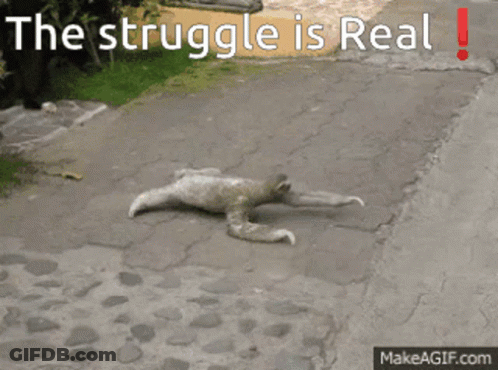 A Picture Of A Sloth On The Ground With The Words The Struggle Is Real Above It GIF