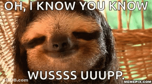 A Picture Of A Sloth With A Caption That Says Oh I Know You Know Wusss Uuupp GIF