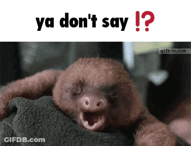 A Picture Of A Sloth With Its Mouth Open And The Words Ya Don 'T Say Below It GIF