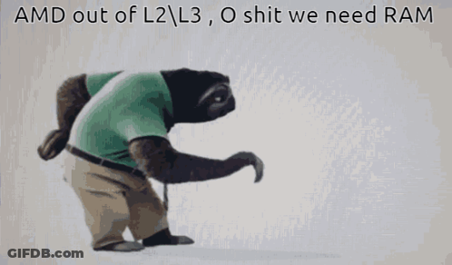 A Picture Of A Sloth With The Words Amd Out Of L2 L3 O Shit We Need Ram Below It GIF