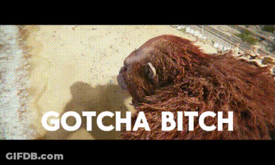 A Picture Of A Sloth With The Words Gotcha Bitch Written Below It GIF