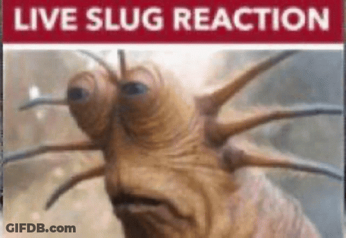 A Picture Of A Slug With A Red Sign That Says Live Slug Reaction On It . GIF