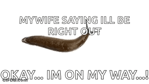 A Picture Of A Slug With The Words " Mywife Saying Ill Be Right Out Okay Im On My Way " GIF