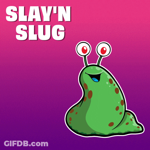 A Picture Of A Slug With The Words " Slay 'N Slug " Below It GIF