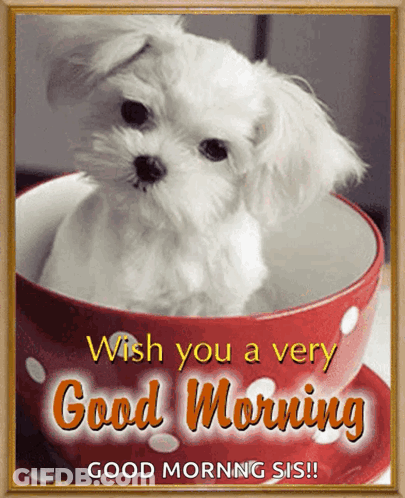 A Picture Of A Small White Dog In A Red Cup With The Words Wish You A Very Good Morning Good Morning Sis GIF