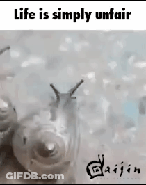 A Picture Of A Snail With The Words Life Is Simply Unfair On It GIF