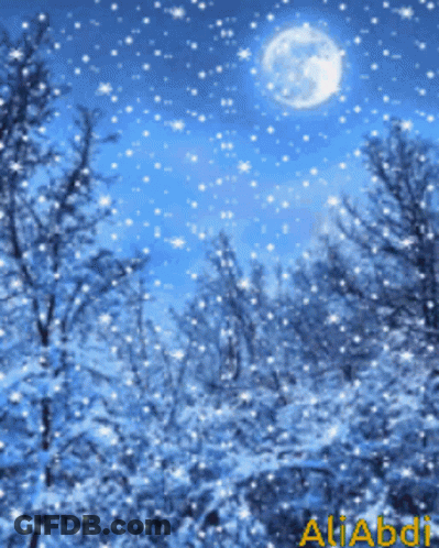 A Picture Of A Snowy Forest With The Name Aliabdi On The Bottom Right GIF