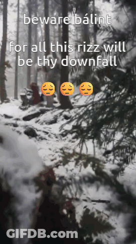 A Picture Of A Snowy Forest With The Words Beware Balint GIF