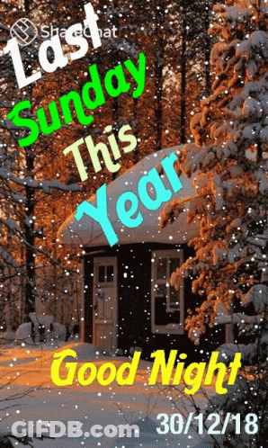 A Picture Of A Snowy Forest With The Words Last Sunday This Year GIF