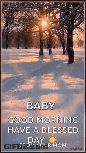 A Picture Of A Snowy Park With The Sun Shining Through The Trees . GIF