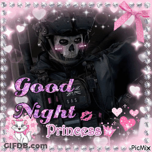 A Picture Of A Soldier With The Words " Good Night Princess " GIF