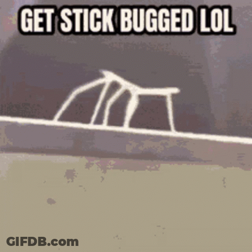 A Picture Of A Spider Web With The Words Get Stick Bugged Lol On It GIF