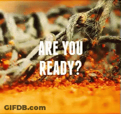 A Picture Of A Spider With The Words " Are You Ready " On It GIF