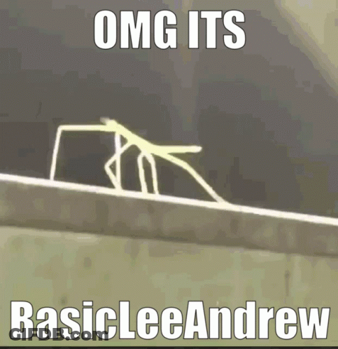 A Picture Of A Spider With The Words Omg Its Basiclee Andrew Below It GIF