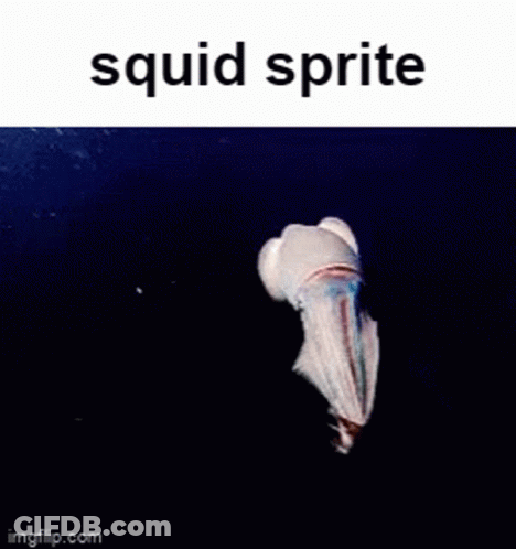 A Picture Of A Squid With The Words Squid Sprite Written Above It . GIF