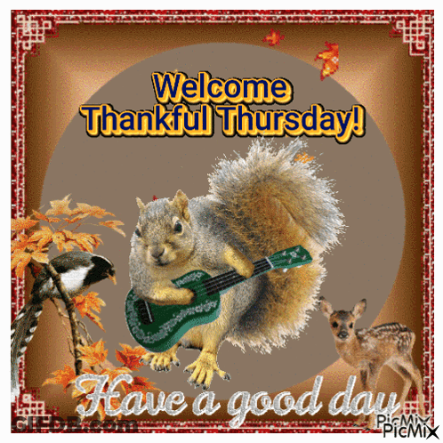 A Picture Of A Squirrel Playing A Guitar With The Words Welcome Thankful Thursday GIF