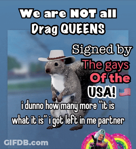 A Picture Of A Squirrel Wearing A Cowboy Hat With The Caption " We Are Not All Drag Queens " GIF