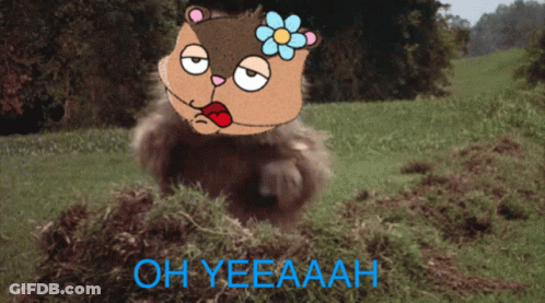 A Picture Of A Squirrel With A Flower On Its Head And The Words Oh Yeeaaah Below It GIF
