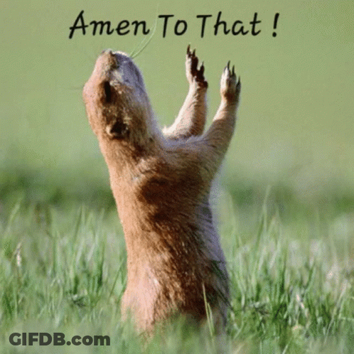 A Picture Of A Squirrel With The Words Amen To That On The Bottom GIF