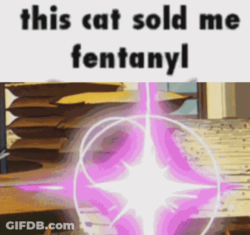 A Picture Of A Stack Of Cardboard Boxes Next To A Picture Of A Purple Star That Says This Cat Sold Me Fentanyl GIF