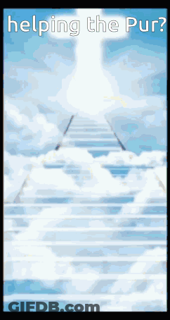 A Picture Of A Staircase To Heaven With The Words Helping The Pur Written On It GIF