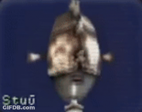 A Picture Of A Statue With The Words Stupid Mercenary Written Below It GIF