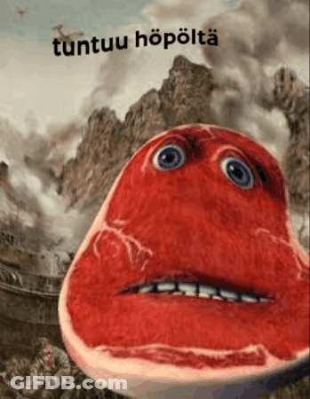 A Picture Of A Steak With A Face And The Words Tuntuu Hopolta On The Bottom GIF