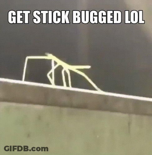 A Picture Of A Stick Bug With The Words Get Stick Bugged Lol Below It GIF