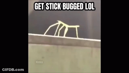 A Picture Of A Stick That Says Get Stick Bugged Lol On It GIF