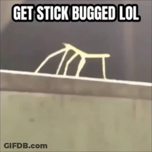 A Picture Of A Stick With The Words Get Stick Bugged Lol GIF