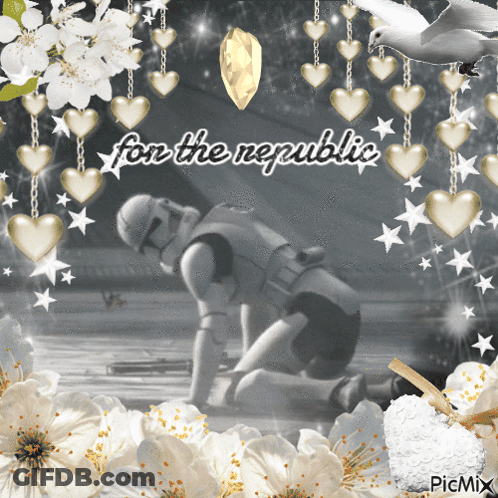 A Picture Of A Storm Trooper With The Words For The Republic On It GIF