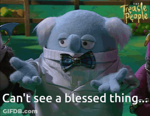 A Picture Of A Stuffed Animal With The Words " Can 'T See A Blessed Thing " GIF
