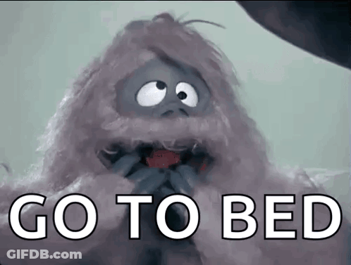 A Picture Of A Stuffed Animal With The Words Go To Bed Below It . GIF
