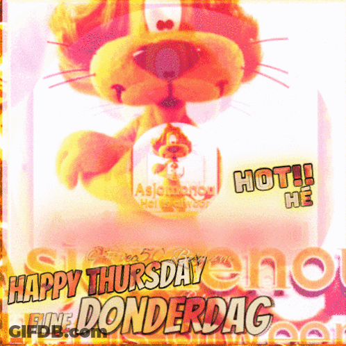 A Picture Of A Stuffed Animal With The Words Happy Thursday Fune Donderdag On It GIF