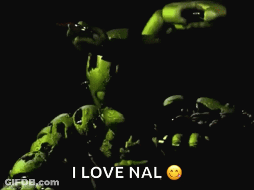 A Picture Of A Stuffed Animal With The Words I Love Nal Below It GIF