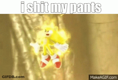 A Picture Of A Stuffed Animal With The Words I Shit My Pants On It GIF