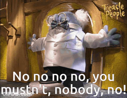 A Picture Of A Stuffed Animal With The Words No No No No You Mustn T Nobody No GIF