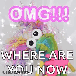 A Picture Of A Stuffed Animal With The Words `` Omg ! Where Are You Now '' Written On It . GIF