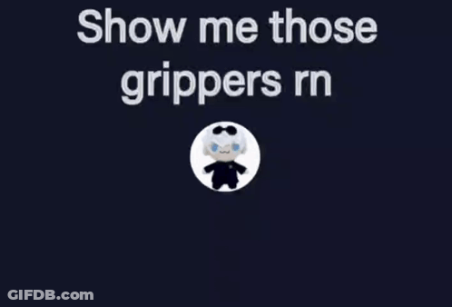 A Picture Of A Stuffed Animal With The Words Show Me Those Grippers Rn Above It GIF