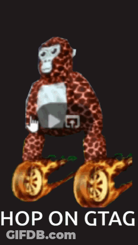A Picture Of A Stuffed Monkey With The Words Hop On Gtag Written Below It GIF