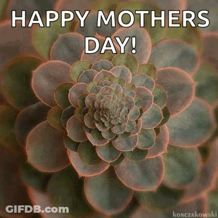 A Picture Of A Succulent Plant With The Words `` Happy Mothers Day '' Written Above It . GIF